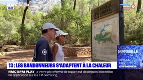 Bouches-du-Rhône: les randonneurs s'adaptent face aux fortes chaleurs