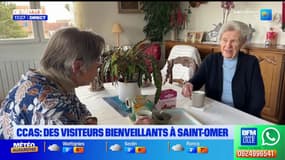 Saint-Omer: un réseau de visiteurs bienveillants pour entretenir des liens sociaux