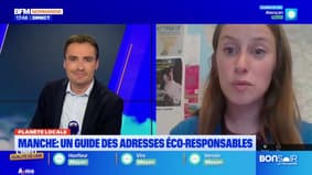 Planète locale du mercredi 4 juin - Manche, un guide des adresses éco-responsables