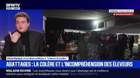 Abattages : la colère et l'incompréhension des éleveurs - 12/12