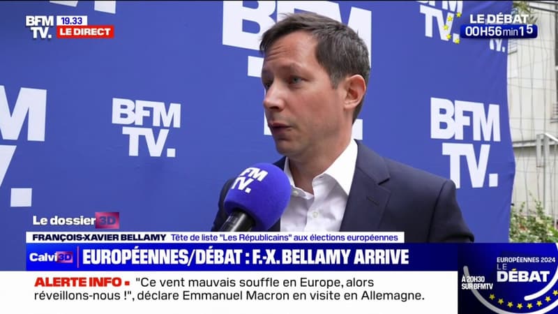François-Xavier Bellamy (tête de liste LR aux élections européennes): 