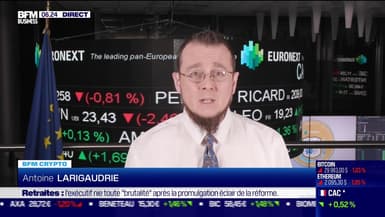 BFM Crypto : NFT, les bonnes affaires de Donald Trump - 17/04