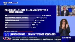 Européennes : le RN en tête des sondages - 07/04