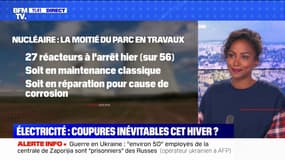 Comment éviter des coupures d'électricité cet hiver? BFMTV répond à vos questions