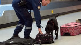 Un douanier fait renifler à son chien des valises près d'un tapis roulant de l'aéroport d'Orly, le 28 décembre 2012 (photo d'illustration).