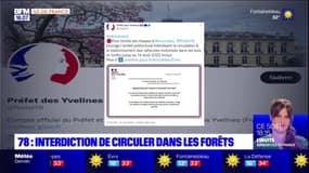 Yvelines: interdiction de circuler et de stationner en voiture dans les forêts jusqu'à dimanche