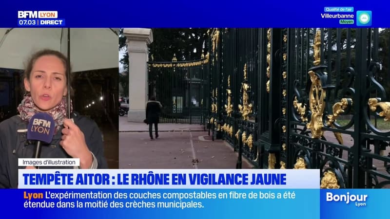 Rhône: le département placé en vigilance jaune au passage de la tempête Aitor (1/1)