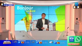 Qualification en 8e, bonus financiers... une soirée "parfaite" pour le Losc en Ligue des champions
