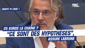 Droits TV Ligue 1 : “Les 25 euros vus dans la presse, ce sont des hypothèses”, assure Labrune