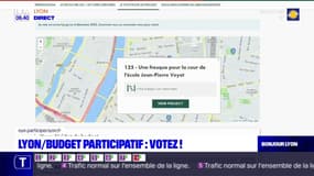 Lyon: votez pour le budget participatif
