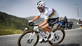 Julian Alaphilippe