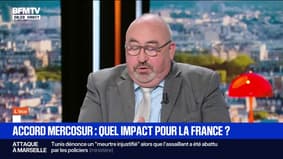 ÉDITO - Quel impact pour la France aura l'accord UE-Mercosur?
