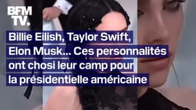 Billie Eilish, Taylor Swift, Elon Musk… Ces personnalités ont choisi leur camp pour la présidentielle américaine 