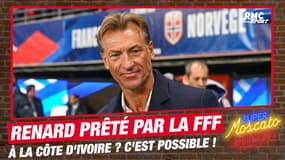 CAN 2023 : Renard pourrait-il être autorisé à être prêté par la FFF à la Côte d'Ivoire ?
