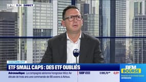 Culture ETF : Les ETF oubliés, par Antoine Larigaudrie - 07/11