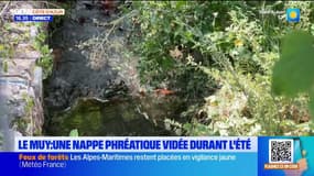 Le Muy : une nappe phréatique vidée durant l'été