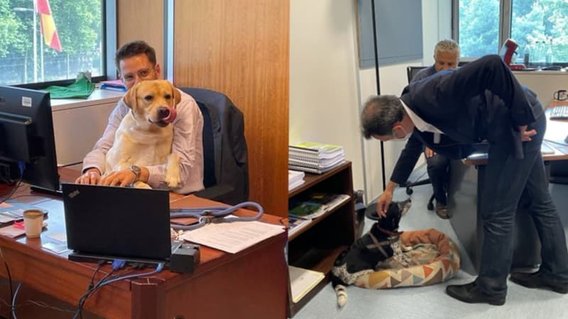 Maxence Alloto et son chien Pixel (à gauche), et Hakim Sabri, le maire Éric Piolle et le chien Elwine (à droite).