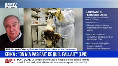 Oiseaux mazoutés à cause des résidus du naufrage de l'Erika: "Ces naufrages tuent deux fois", déclare Allain Bougrain-Dubourg (Ligue pour la protection des oiseaux)