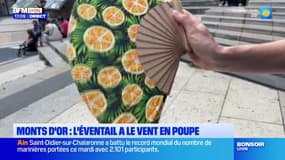Monts d'Or: l'éventail a le vent en poupe
