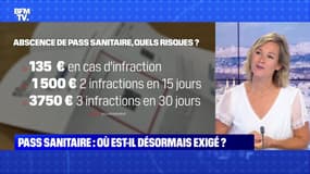 BFMTV répond à vos questions : Quid du pass sanitaire obligatoire aujourd'hui ? - 23/08