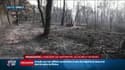 "Toutes les maisons autour de moi ont brûlé, il ne reste plus rien": en Grèce, les incendies menacent le site d'Olympie