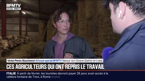 "Il faut bien s'occuper des animaux": ces agriculteurs qui ont repris le travail malgré la mobilisation