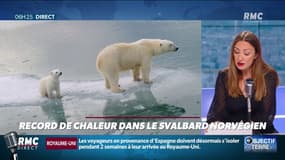 Nouveau record de chaleur inquiétant en Arctique dans le Svalbard Norvégien…