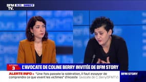 Story 4 : L'acteur Richard Berry accusé d'inceste par sa fille aînée - 05/02