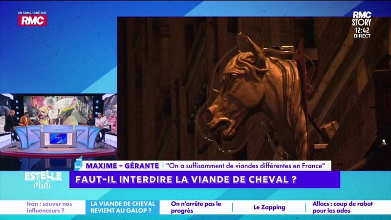 Interdire la viande de cheval : "Le cheval a rendu tellement de services à l'homme", défend Maxime