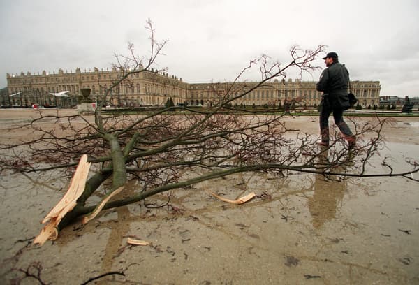 Un arbre déraciné dans le parc du château de Versailles après le passage de la tempête Lothar, le 26 décembre 1999.