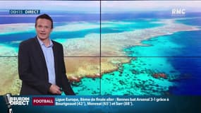 Les canicules marines ont doublé en un siècle