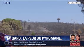 Les incendies dans le Gard éveillent la crainte d'un pyromane