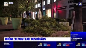 Rhône: la tempête Barbara fait des dégâts 