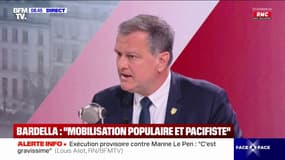 Condamnation de Marine Le Pen: Louis Aliot (RN) dénonce une "disproportion des peines qui ont été prononcées"