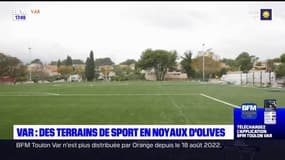 Planète locale Var: Des terrains de sport en noyaux d'olives