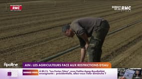 Sécheresse : dans l'Ain, les agriculteurs font face aux restrictions d'eau