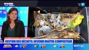 Planète Locale du mercredi 18 décembre - Gestion des déchets : devenir maître-composteur 