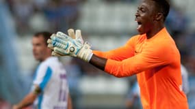 Carlos Kameni. 