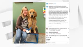 Gilbert, le chien de Melissa Hortman, élue démocrate du Minnesota assassinée samedi 14 juin avec son mari à son domicile par Vance Boetler, a été euthanasié après avoir été gravement blessé.  