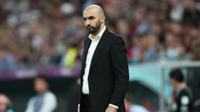 Walid Regragui
