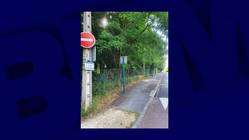 Un chien décapité a été découvert dans une rue de Brunoy, dans l'Essonne