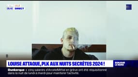 Louise Attaque et PLK à l'affiche des Nuits secrètes 2024