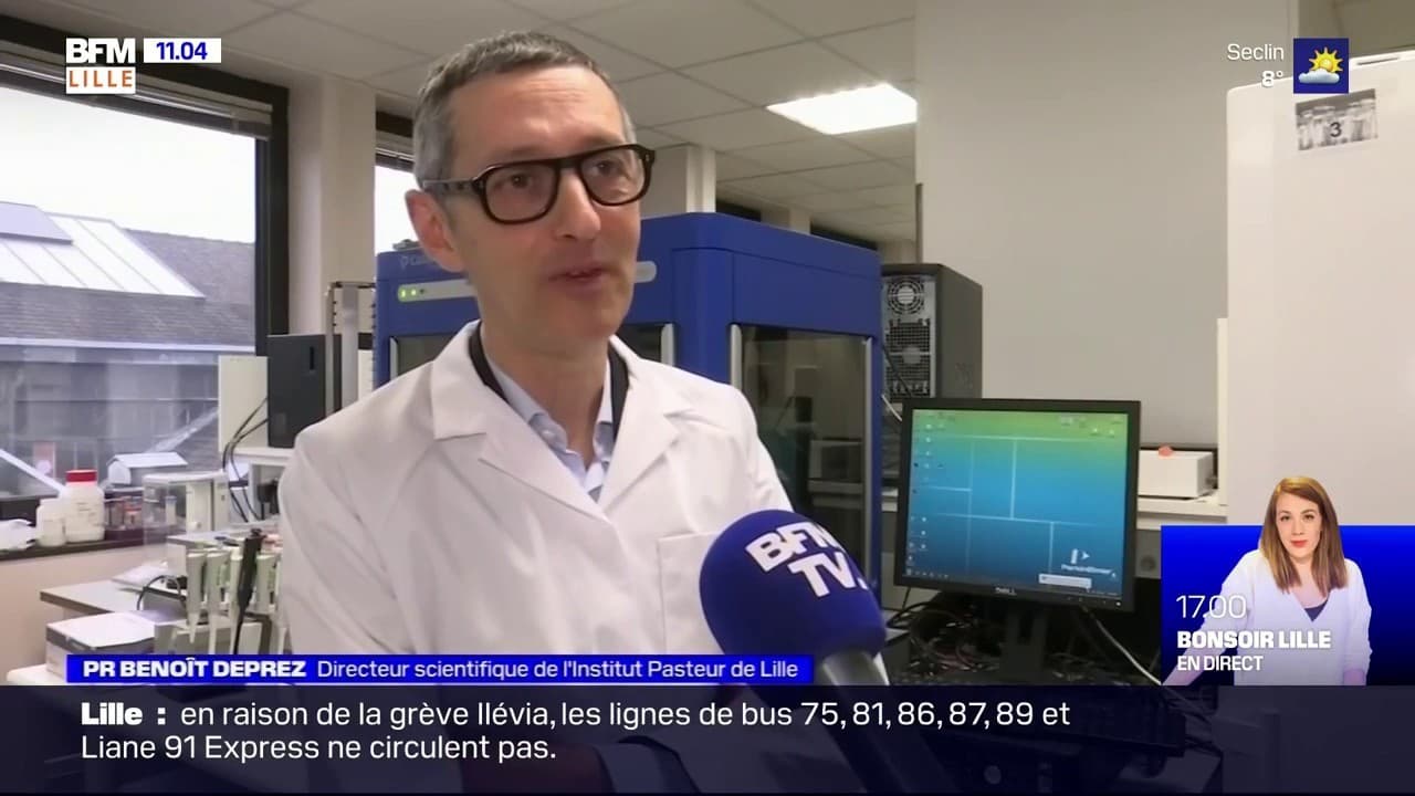 Les Chercheurs De L Institut Pasteur De Lille A La Recherche D Un Medicament Efficace Contre Le Coronavirus
