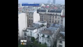 On peut de nouveau entendre les oiseaux à Paris