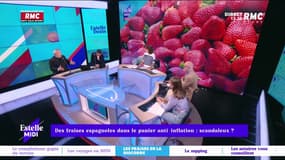 Des fraises espagnoles dans les paniers anti-inflation: Périco Légasse appelle à la démission de Bruno Le Maire