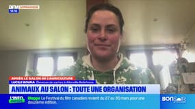 Salon de l'Agriculture: le témoignage d'une éleveuse normande sur l'expérience vécue à Paris