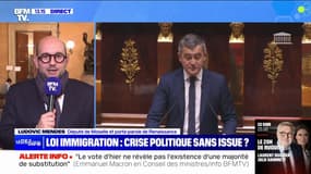 Loi immigration: "On a toujours été unis sur ce texte", déclare Ludovic Mendes, porte-parole de "Renaissance"