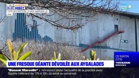 Marseille: une fresque géante dévoilée aux Aygalades