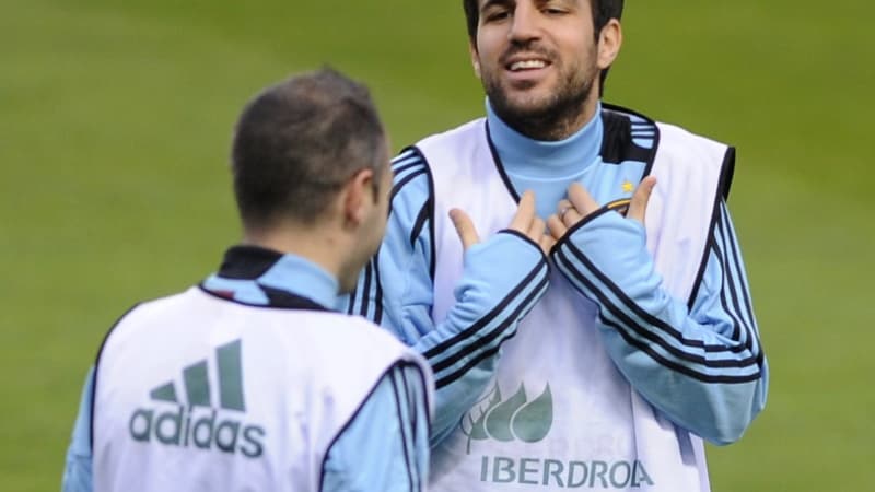 Cesc Fabregas