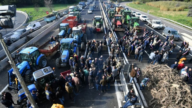 CARTE. Rungis, Lyon, Toulouse... Le point sur les blocages des agriculteurs ce mercredi